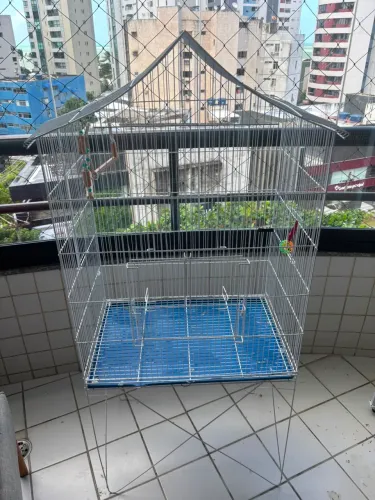 Gaiola Viveiro Passarinho