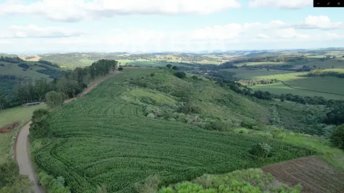 Sítio para venda em Jandaia do Sul - PR