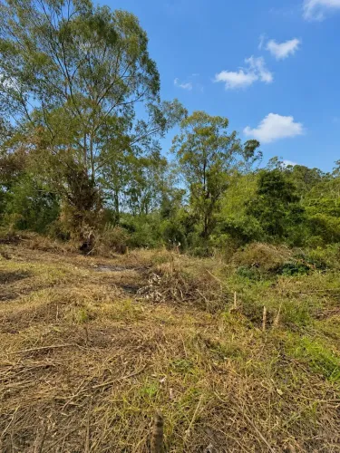 1.000 m² em Mairinque com opções de mata e nascente