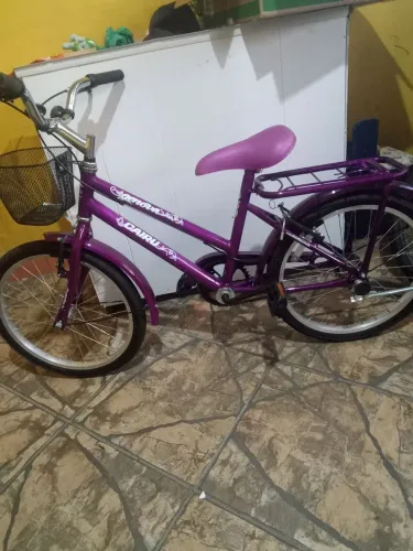Bicicleta infantil ,nova