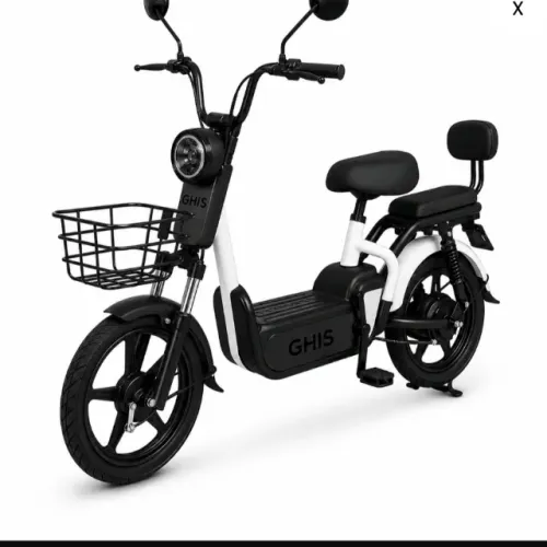 Bicicleta Elétrica 