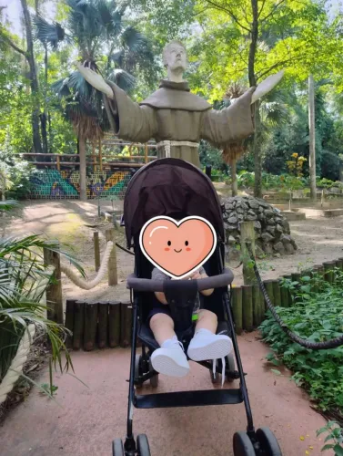 Carrinho infantil passeio