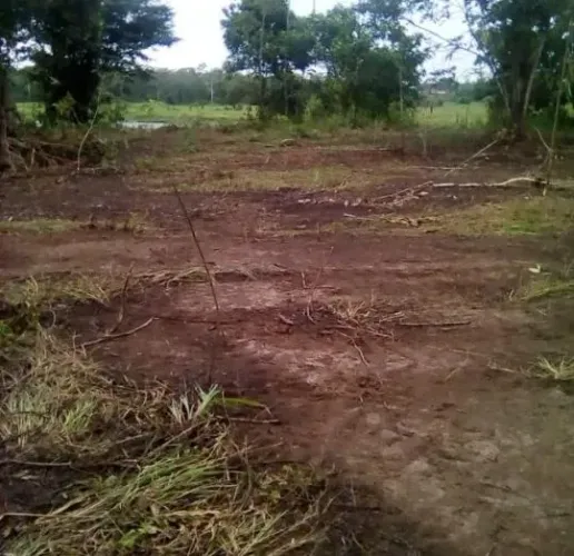 Fazenda à venda Próxima a Humaitá - AM