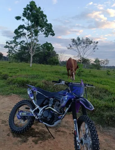 CRF 230
