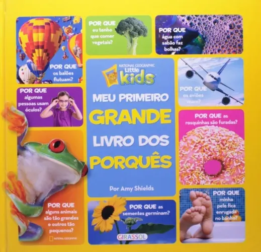 Livro "Meu primeiro grande livro dos porquês" - Capa dura