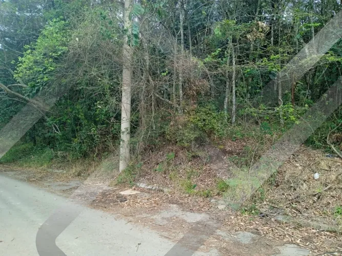 TERRENO A VENDA EM SANTANA DE PARNAIBA