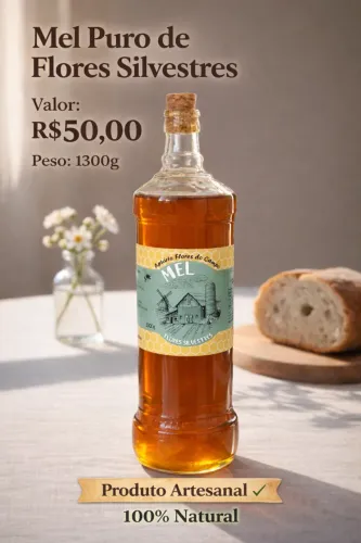 Mel Puro direto do apiário - Flores Silvestres 1300g 