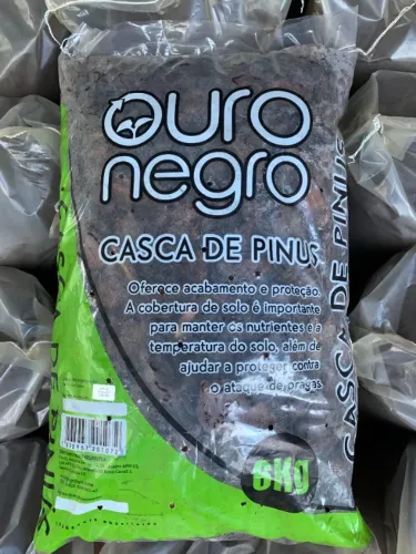 Casca de Pinos