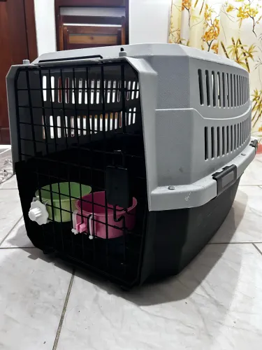 Caixa de transporte pet