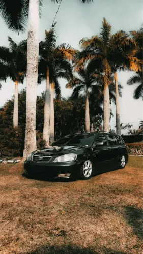Toyota Corolla Fielder SW 1.8/1.8 XEI Flex Aut. 2006