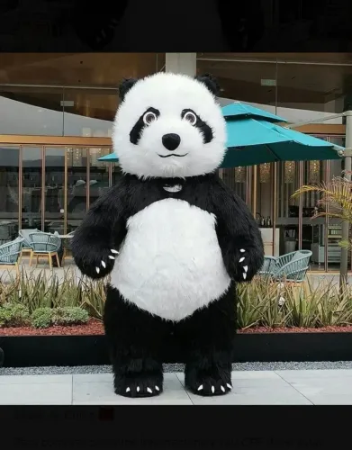 Fantasia urso panda