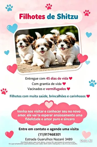 Filhotes saudáveis 