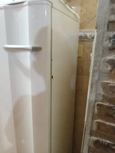 Freezer vertical