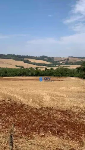 Terreno à venda, 169400 m² por R$ 18.295.200,00 - Estrada da Cegonha - Londrina/PR