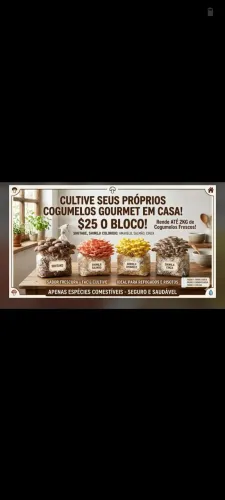 Bloco de cogumelo