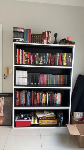 Livros diversos em excelente estado