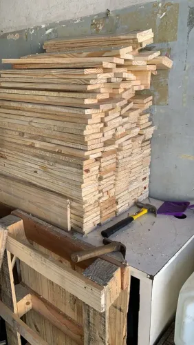Pelete Ripa