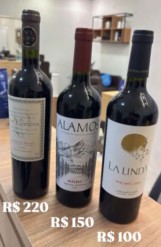 Vinhos argentinos 