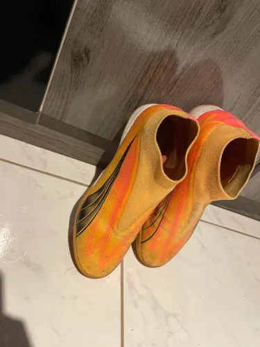 Society puma 