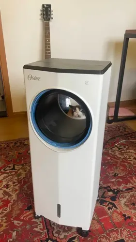 Climatizador Oster - Usado