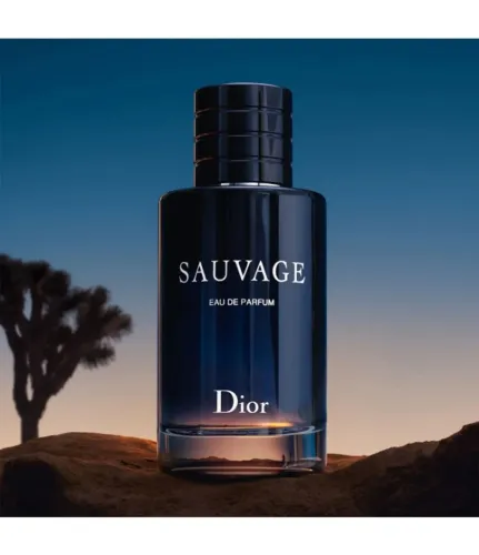 Perfume Dior Sauvage Masculino Eau De Parfum 200ml Novo Lacrado Origina