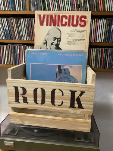Organizador para discos de vinil (Rock)