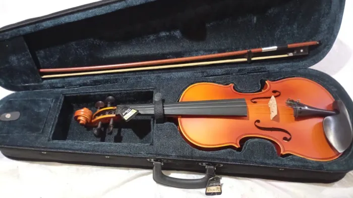 Violino