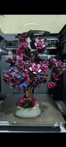 Árvore/bonsai/decoração/