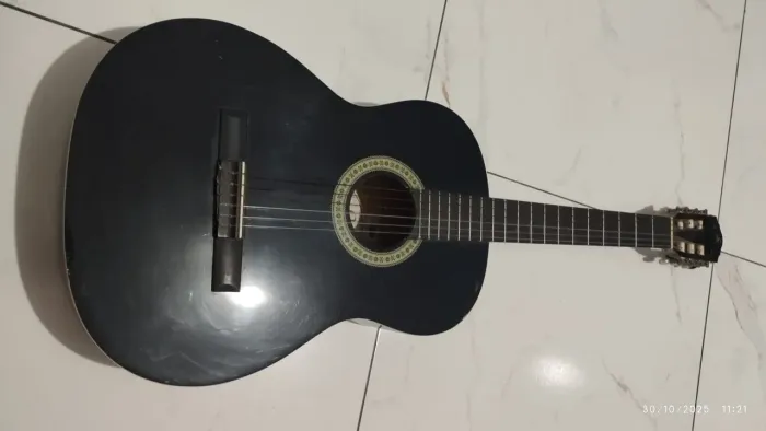 Violão Gianini 