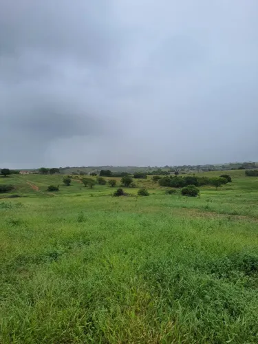 Fazenda com 550 hectares em Ielmo Marinho