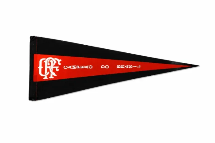 Flâmula Flamengo - Campeão do Brasil de 1980