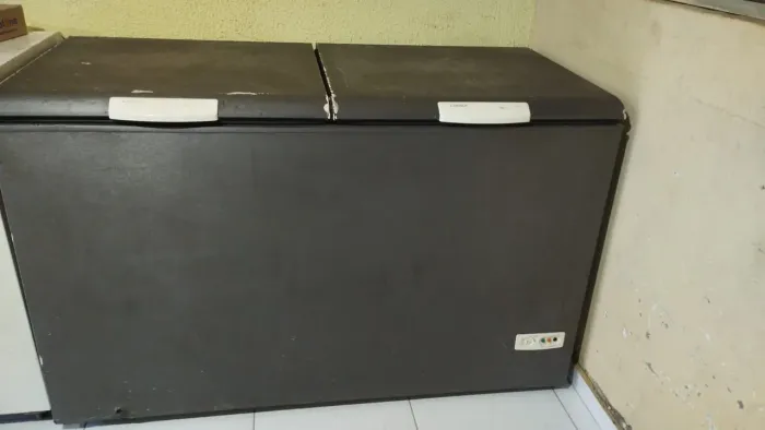 Freezer horizontal