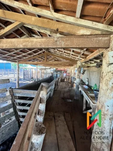 Fazenda para Venda em Cáceres, Jardim Paraíso, 10 dormitórios, 1 suíte, 5 banheiros