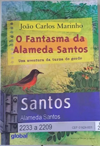 O Fantasma da Alameda Santos - João Carlos Marinho