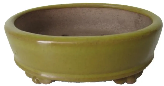Vaso Bonsai 
