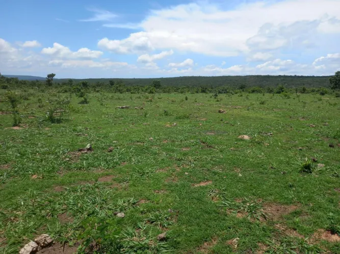 Fazenda 1.110 hect em vila bela da santíssima trindade MT. 7.500.000