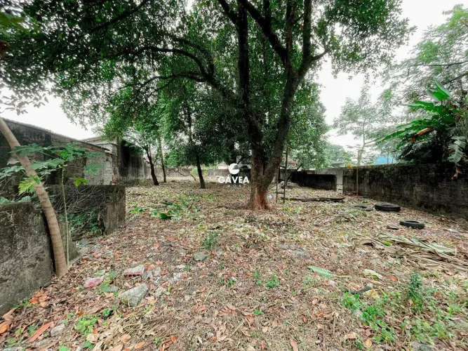 Terreno à venda no Vila Couto em Cubatão.