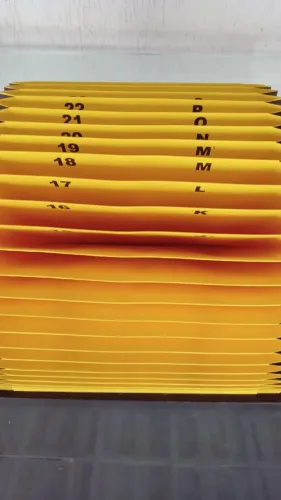 PASTA SANFONADA