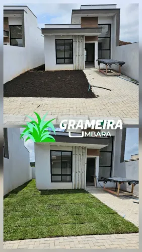 Plantio De Grama 