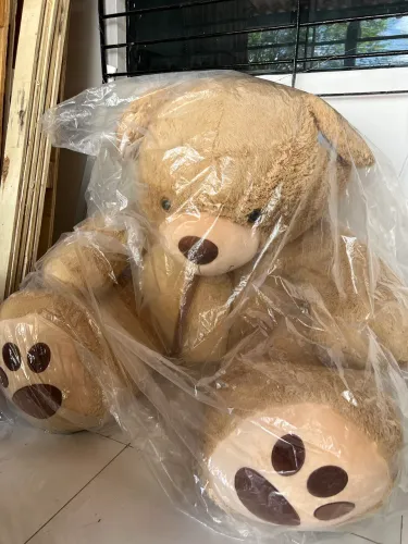 Vendo urso tommy buba