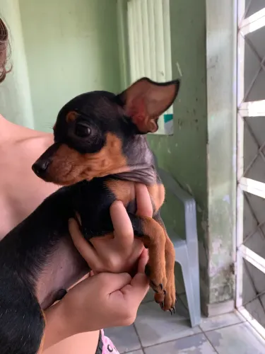 Vendo e troco