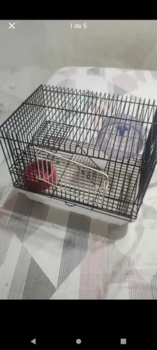 Gaiolinha para Hamster ou Camundongo