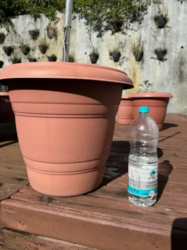 10 Vasos grandes de plástico para plantas,