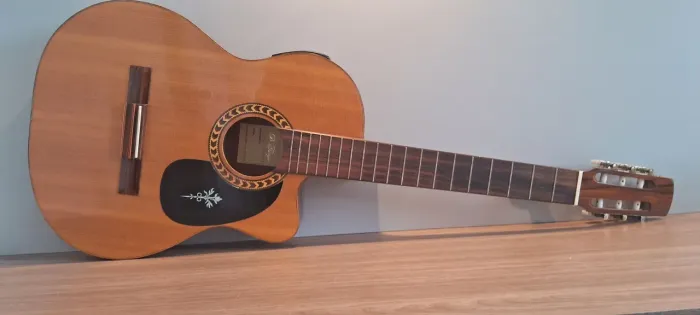 Raridade. Violão Di Giorgio Talent I eletroacústico Slim