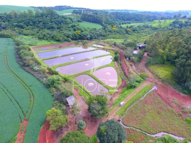 Sítio Estância produtiva à venda com 32 alqueires - agricultura e piscicultura - 1.5 km da