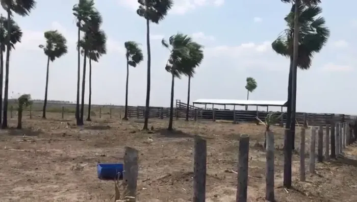 CÓD266 Fazenda 1.670 ha | Corumbá/MS Pantanal