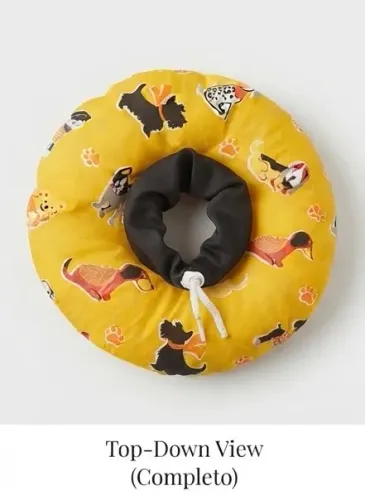 ? Recuperação com Estilo e Conforto para seu Gatinho! ?