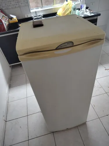 Freezer Electrolux F170
