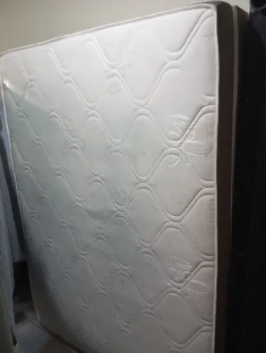 Cama