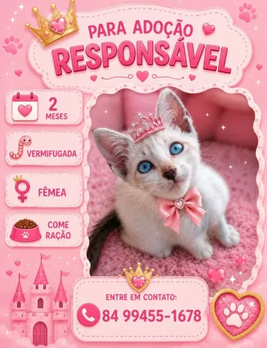 Gatinha para adoção responsável 